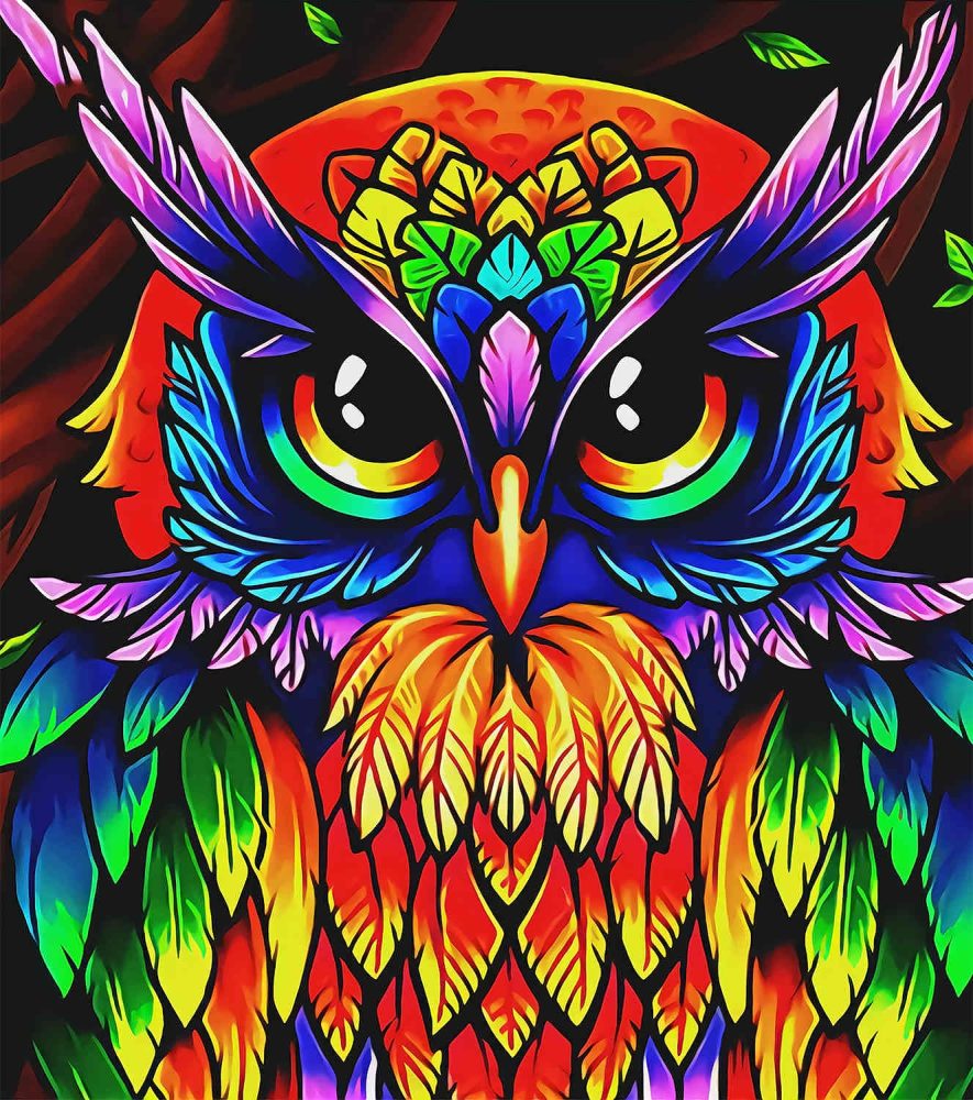 Colorful Owl Art Bedding Set Duvet Cover And 2 Pillowcases